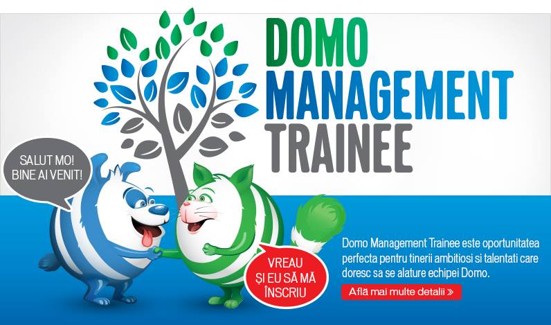 DOMO Management Trainee